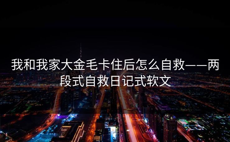 我和我家大金毛卡住后怎么自救——两段式自救日记式软文