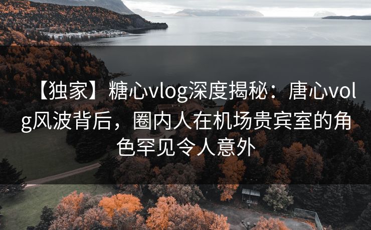 【独家】糖心vlog深度揭秘：唐心volg风波背后，圈内人在机场贵宾室的角色罕见令人意外
