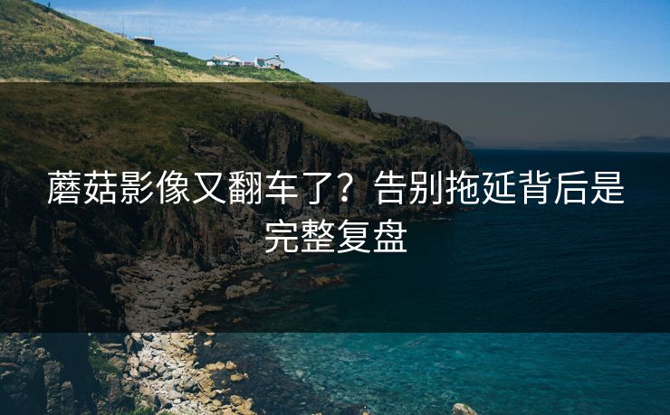 蘑菇影像又翻车了?告别拖延背后是完整复盘